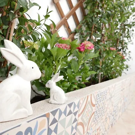 Appartement Alfama Sky *